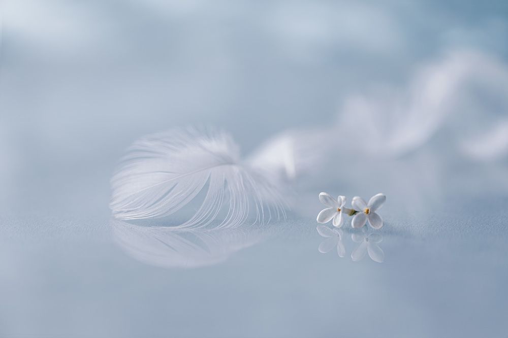 Photograph by Игорь Копцев