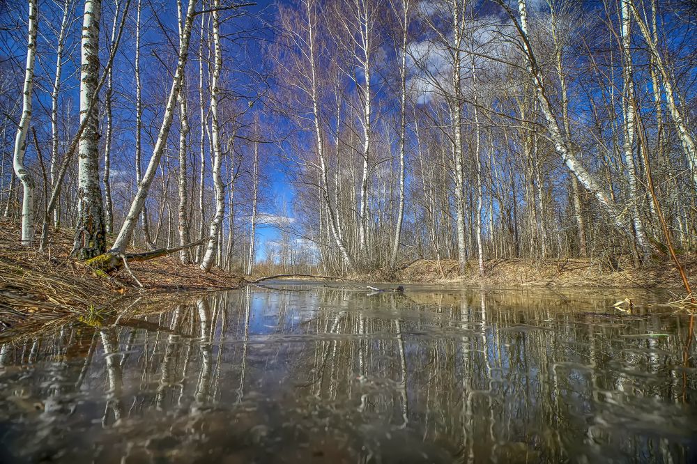 Photograph by 