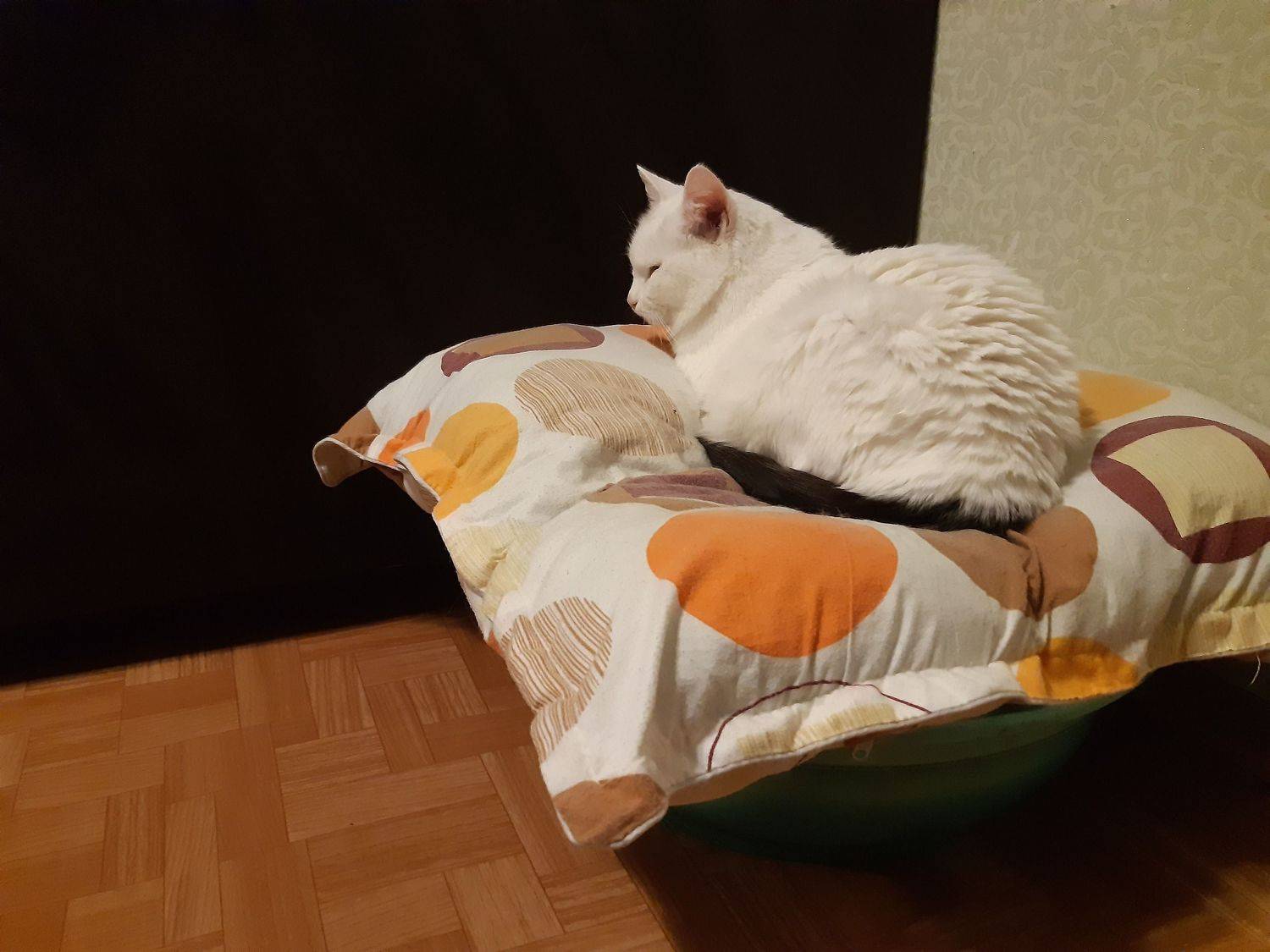 Photo #6145177