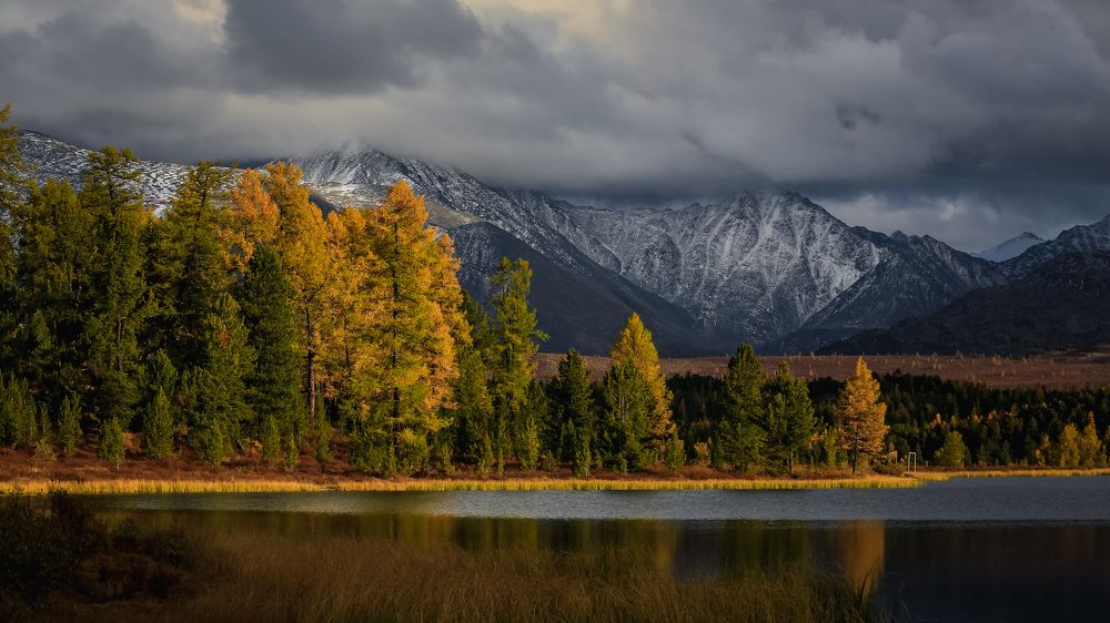 Photograph by Vladimir Schelkunov