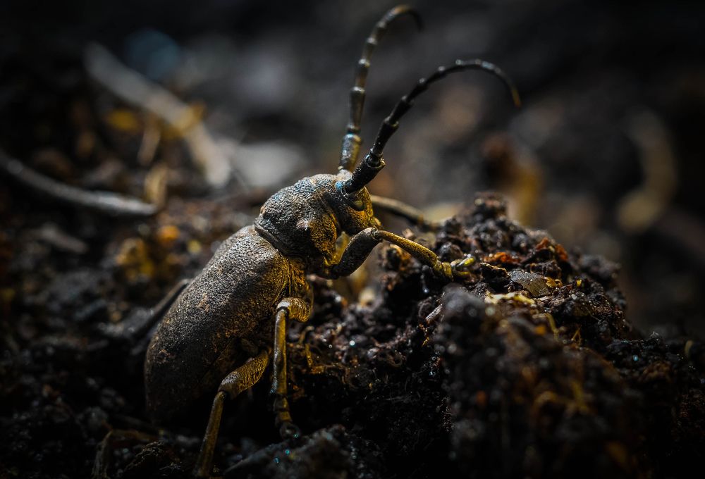 Photograph by Олеся zme