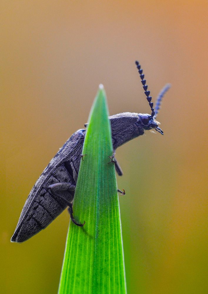 Photograph by Олеся zme