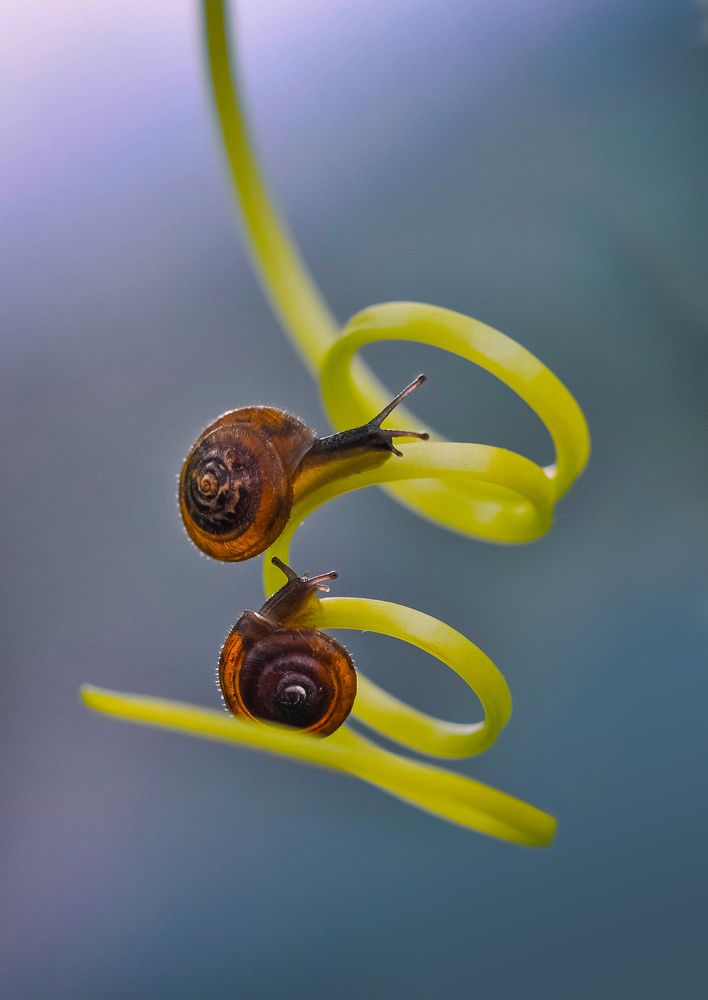 Photograph by Олеся zme