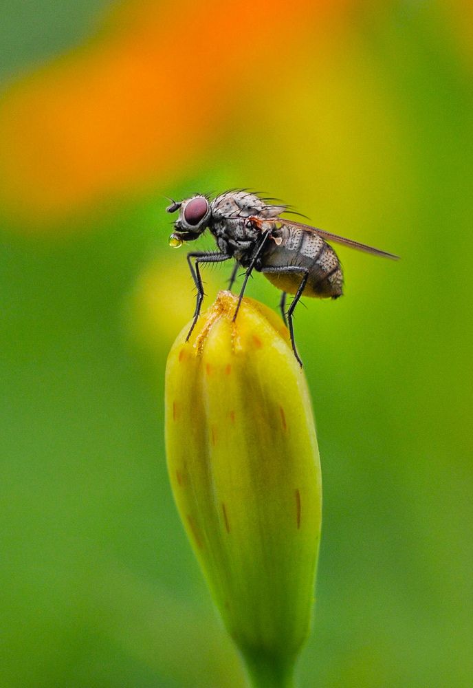 Photograph by Олеся zme