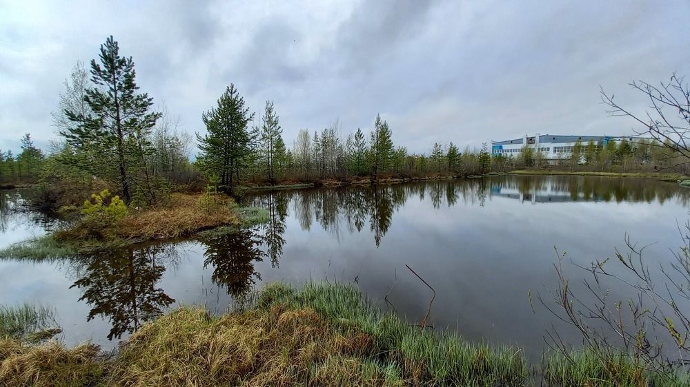 Пейзаж день