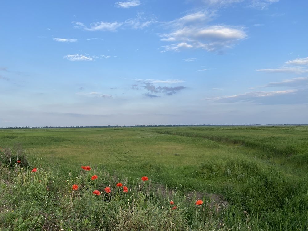 Photograph by Юлия Хлебодарова