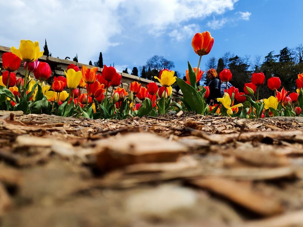 Photograph by mikhail goryachev