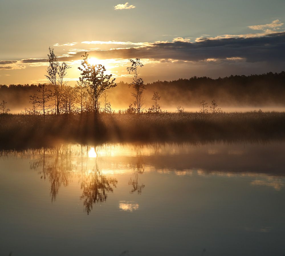 Photograph by Олег Фокин