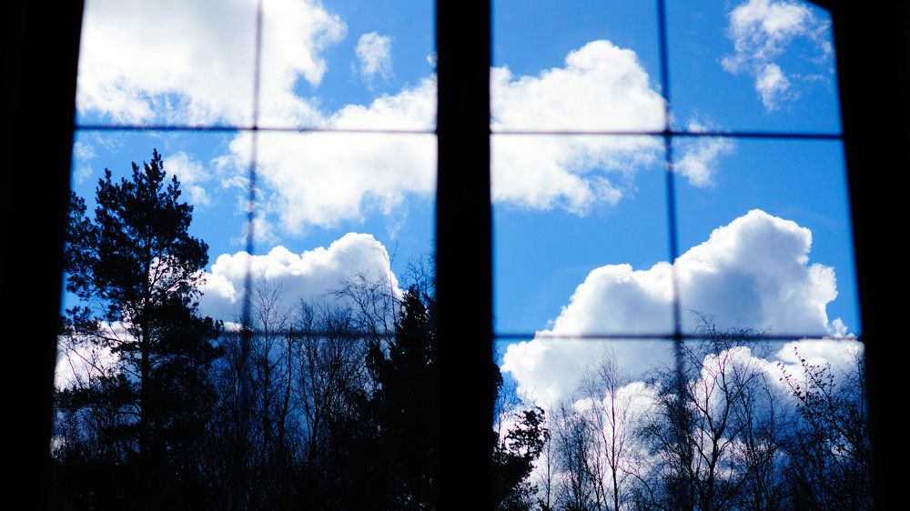 Фотография автора Дмитрий Земсков