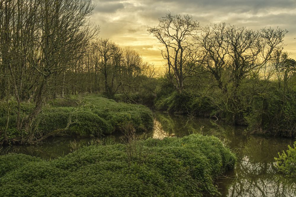 Photograph by Vitaliy Tuzov