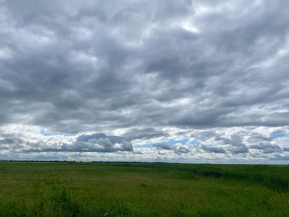 Photograph by Юлия Хлебодарова