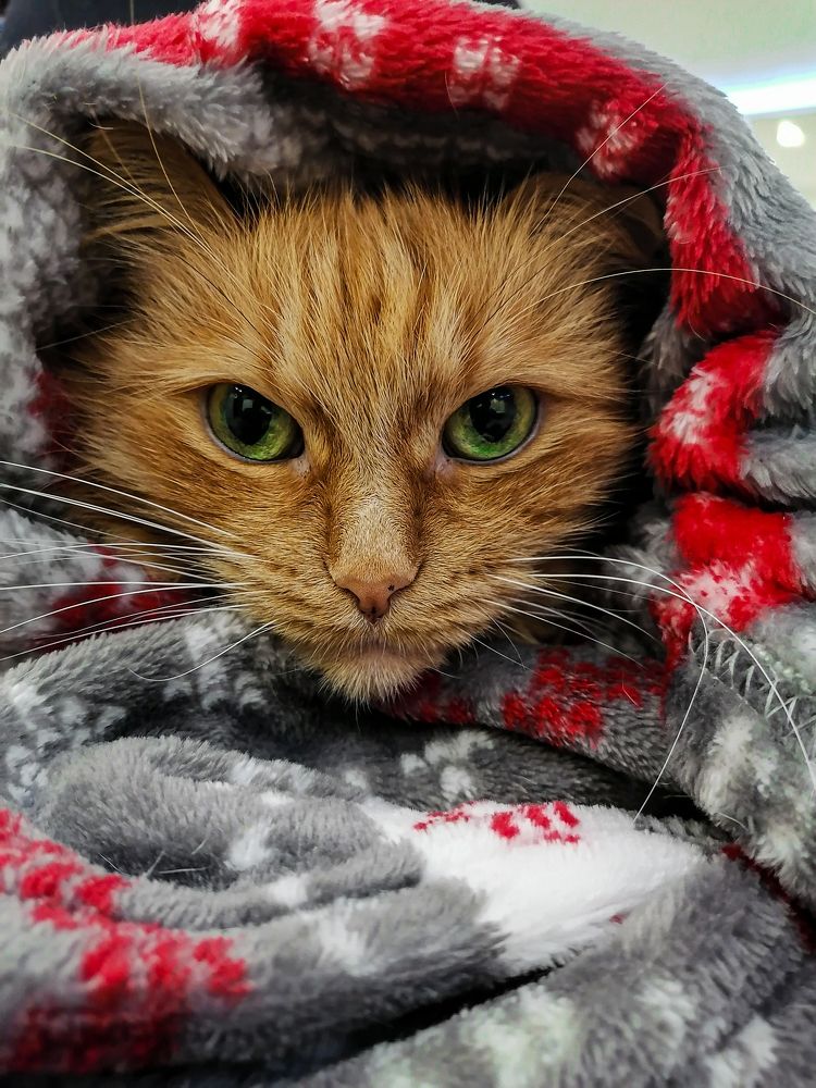 Photograph by Станислав Евсеев