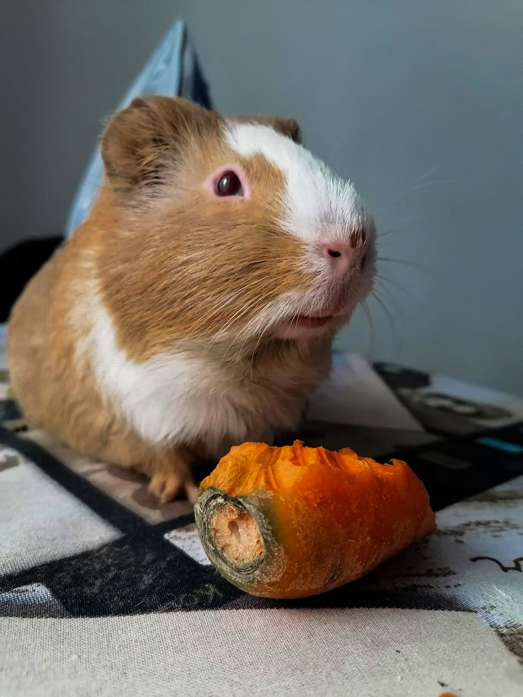 Photograph by Станислав Евсеев