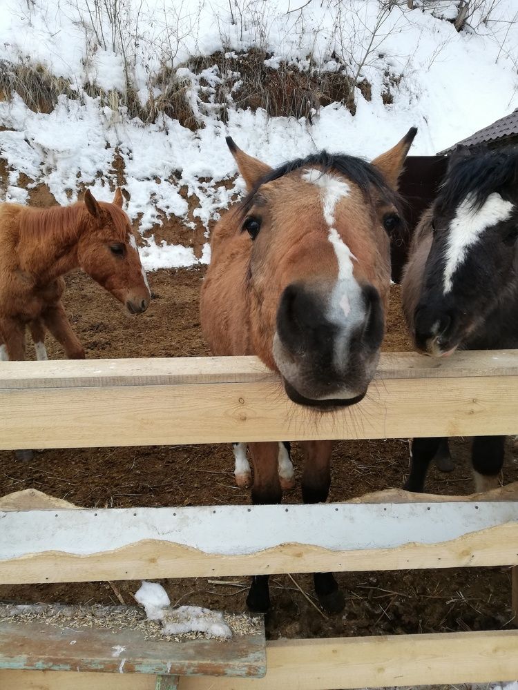 Photograph by Татьяна Фоевцева