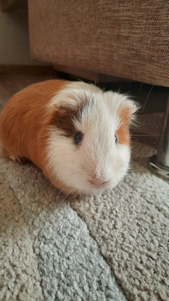 Photograph by Галина Шипухина