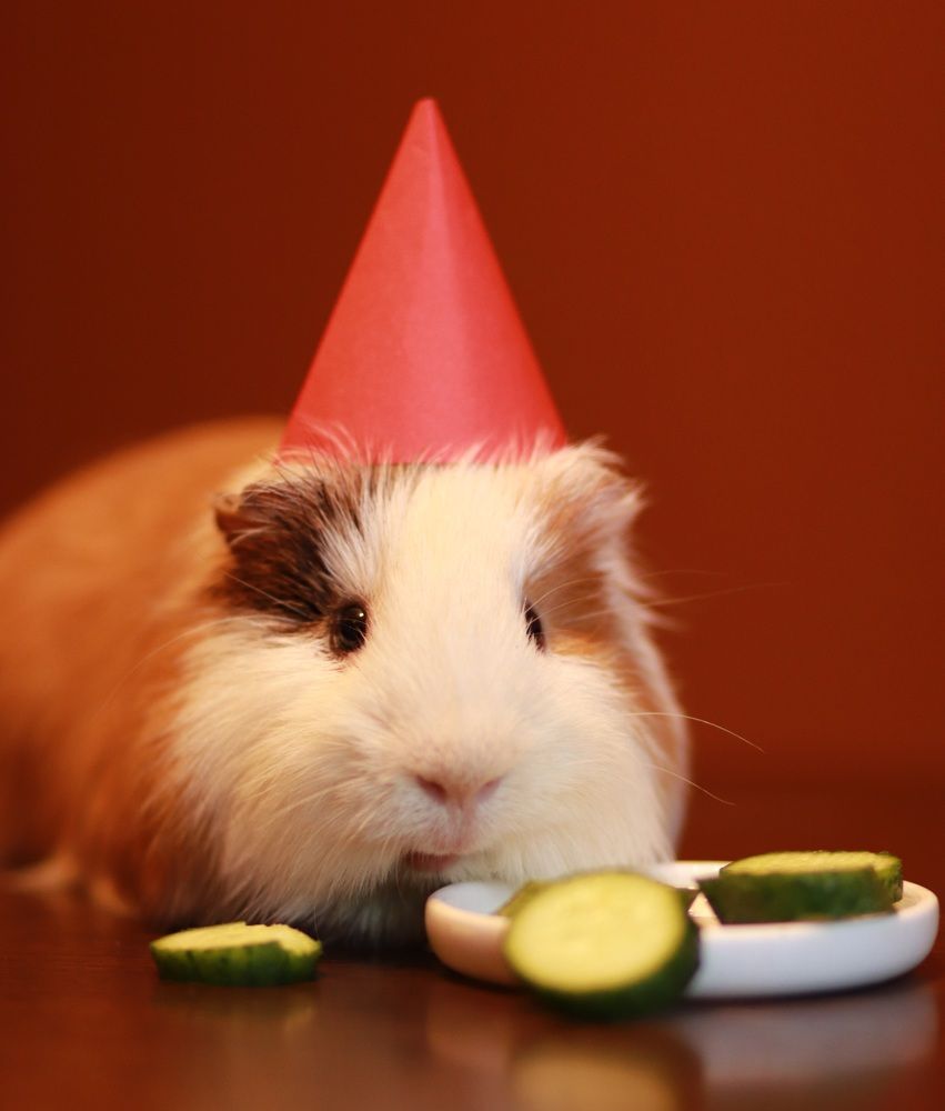 Photograph by Галина Шипухина