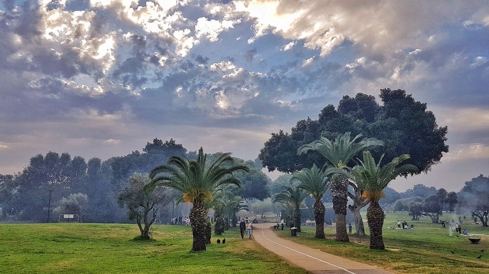 Национальный парк. Рамат Ган. Израиль.