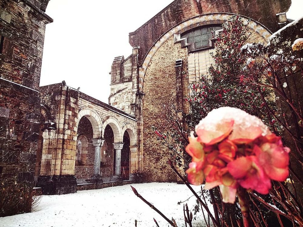 The name of the rose