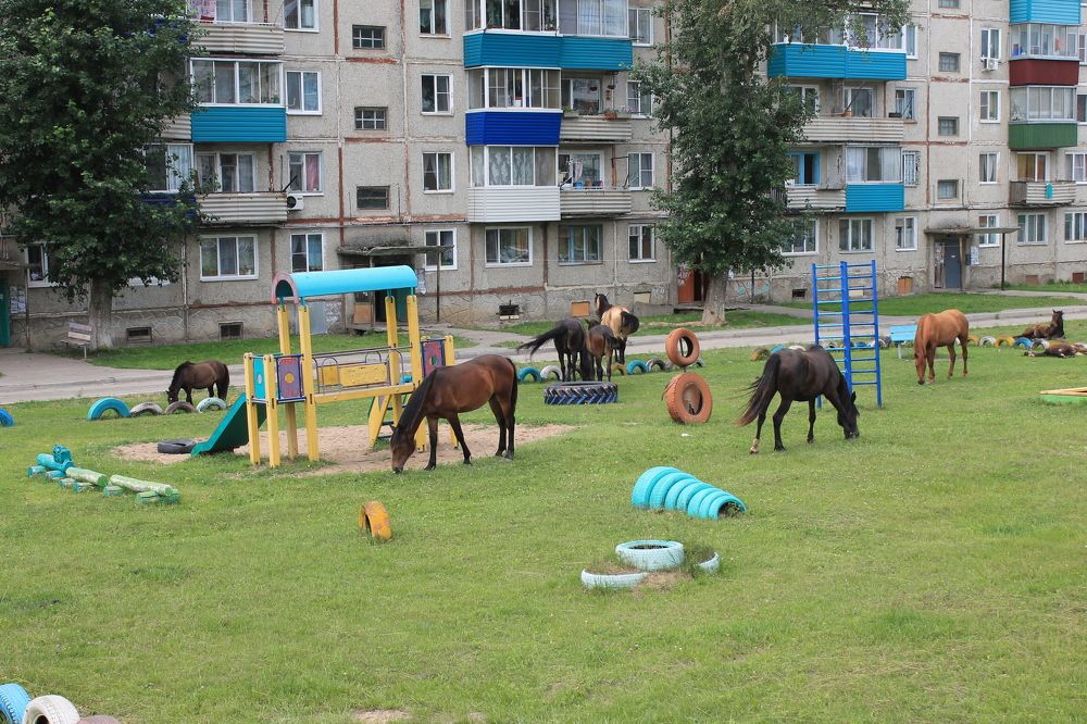 Photograph by Денис Птюшкин