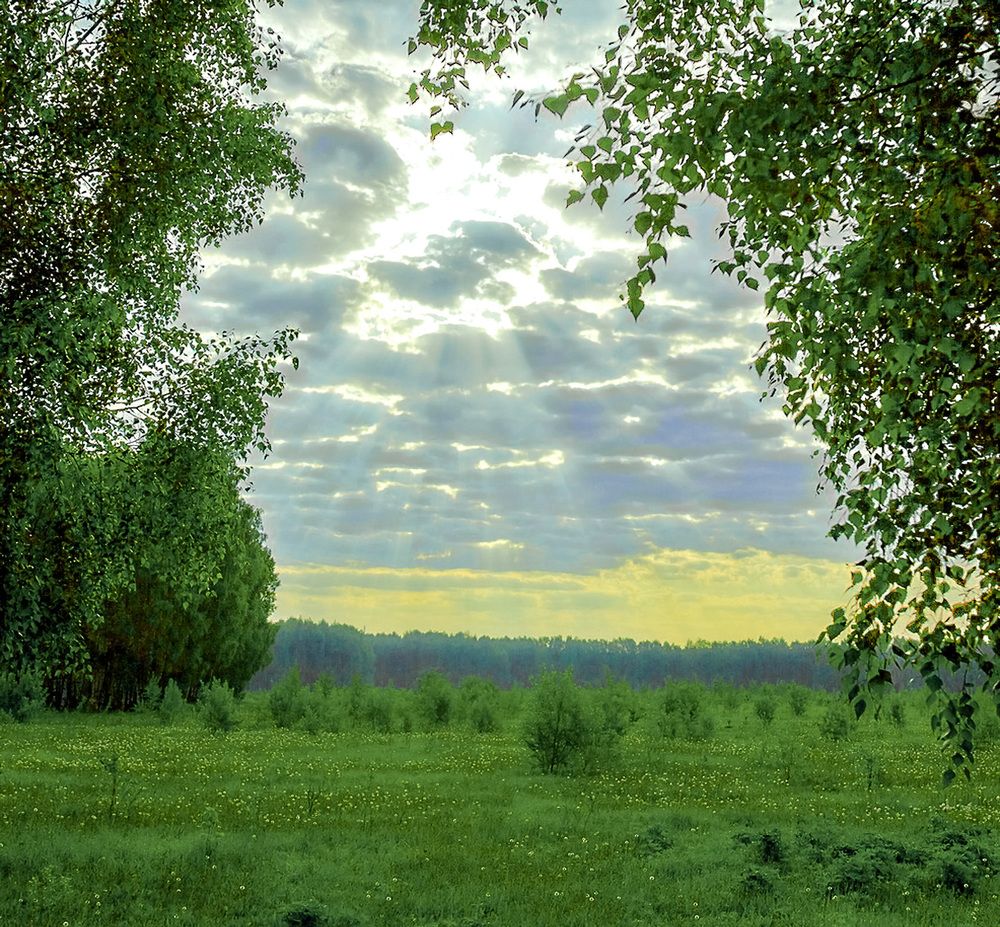 Photograph by Ilуа Chirkov