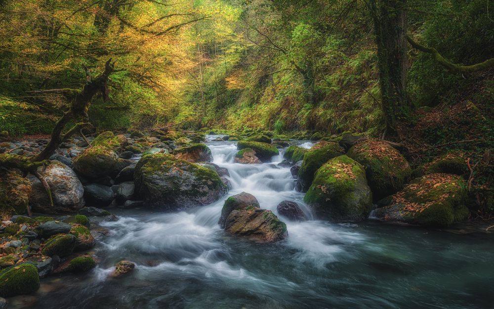 Пороги Чвижепсе...