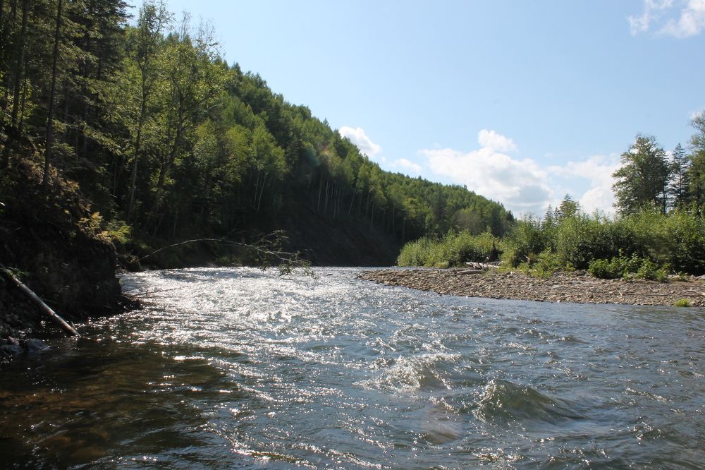 Photograph by Денис Птюшкин