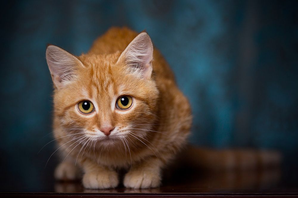 Photograph by Волгина Елена