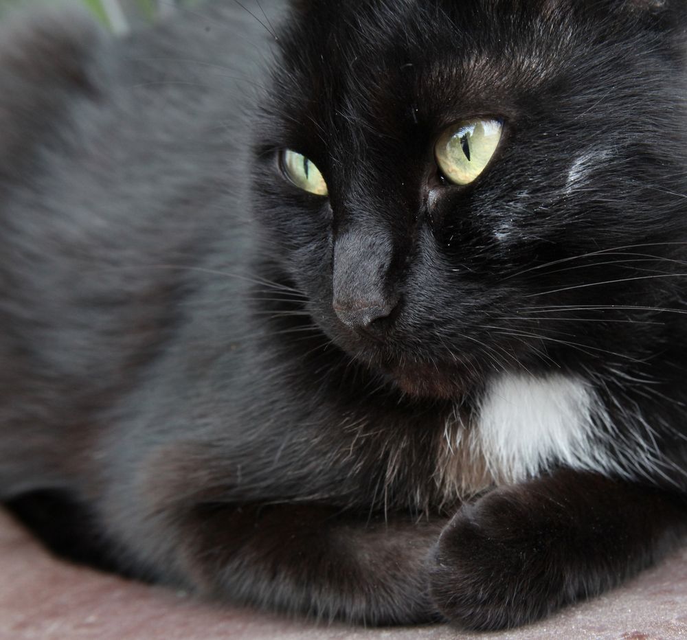 Photograph by Мария Самоловова