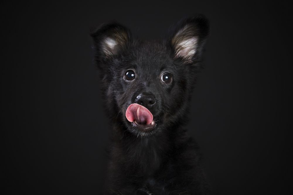 Photograph by Волгина Елена