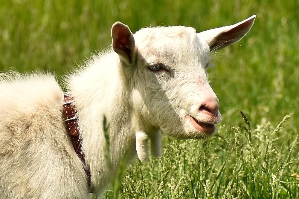 Photograph by Валерий Талейко