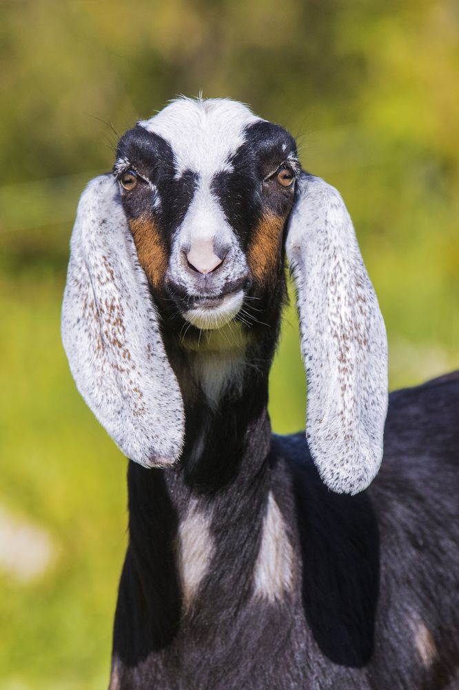 Photograph by Волгина Елена