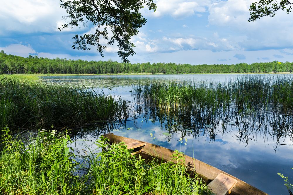 Photograph by Ирина Бородовская