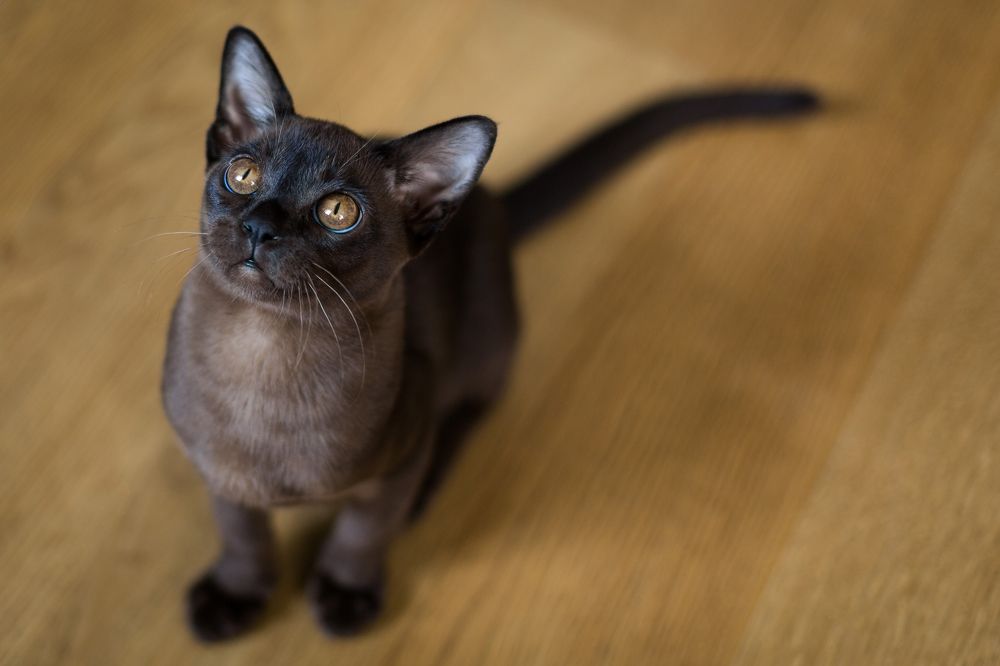 Photograph by Ирина Бородовская