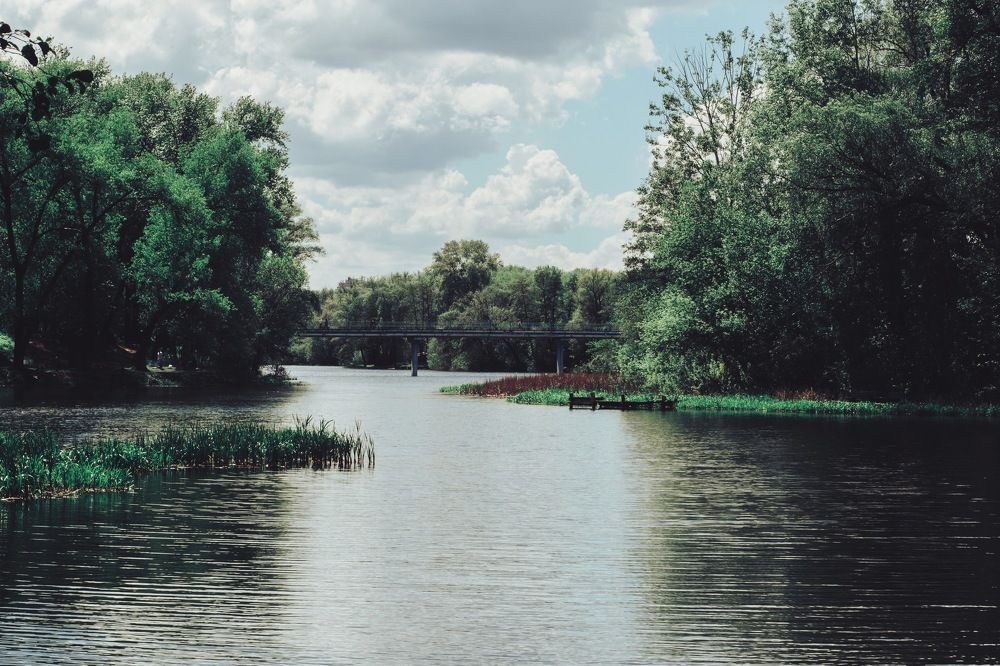 Photograph by Дмитрий Стадницкий