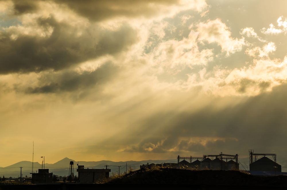 Photograph by Sahar Jafari