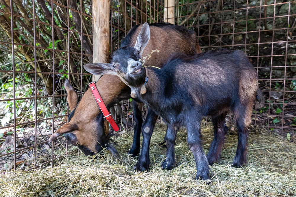 Photograph by Игорь Калинин