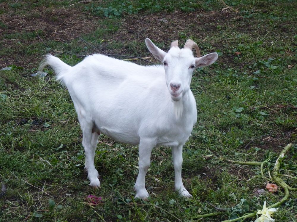 Photograph by Galina Leskova