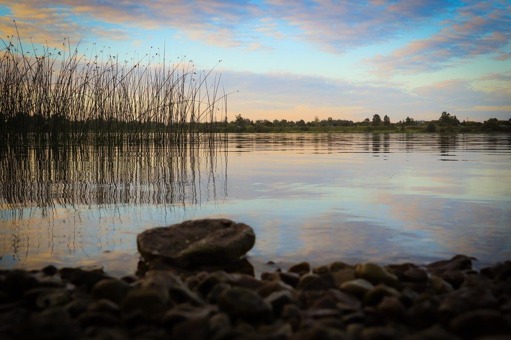 Photograph by Jelena Dzene