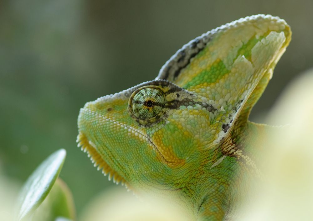 Фотография автора MARIA KULA