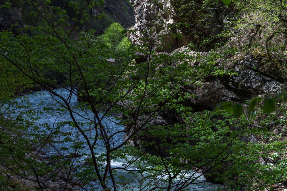 Photograph by Мухамед Кушхов