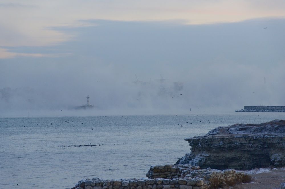 Photograph by Гибина Екатерина