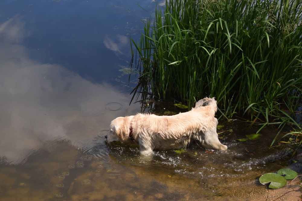 Photograph by Galina Leskova