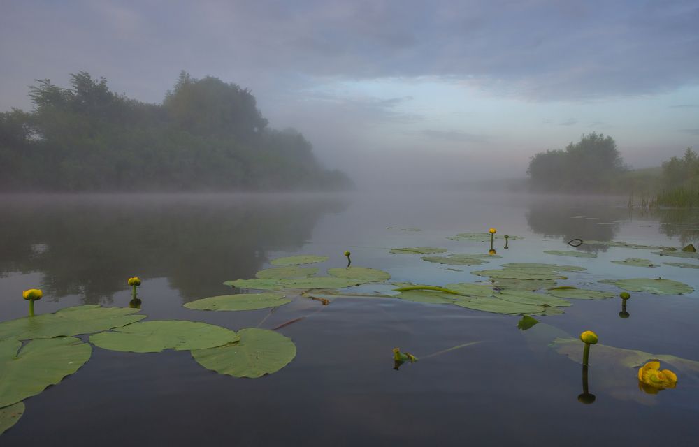 Photograph by Igor Andreev