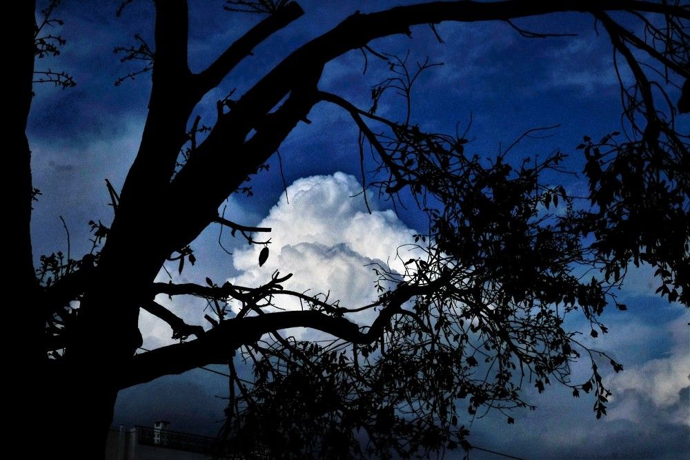 Photograph by Effie Zacharia