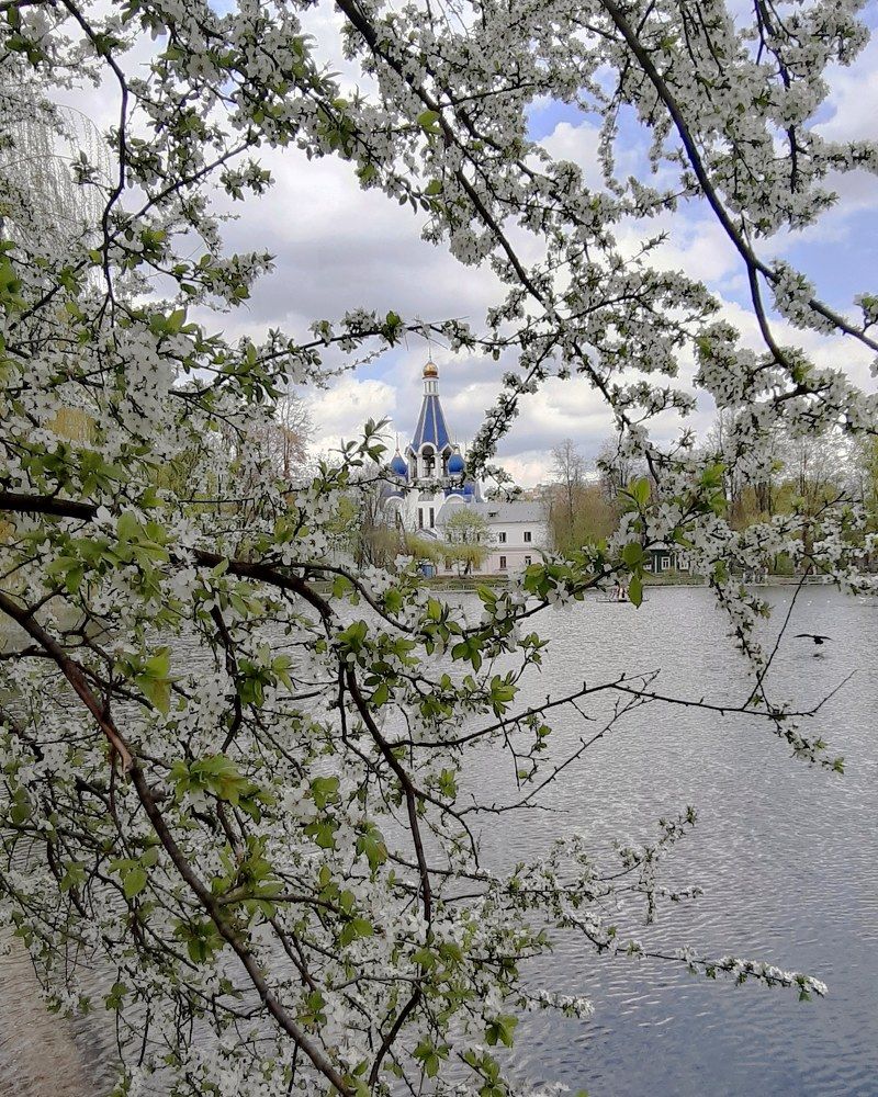 Photograph by Людмила М