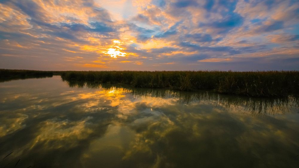 Photograph by meethaq naeem