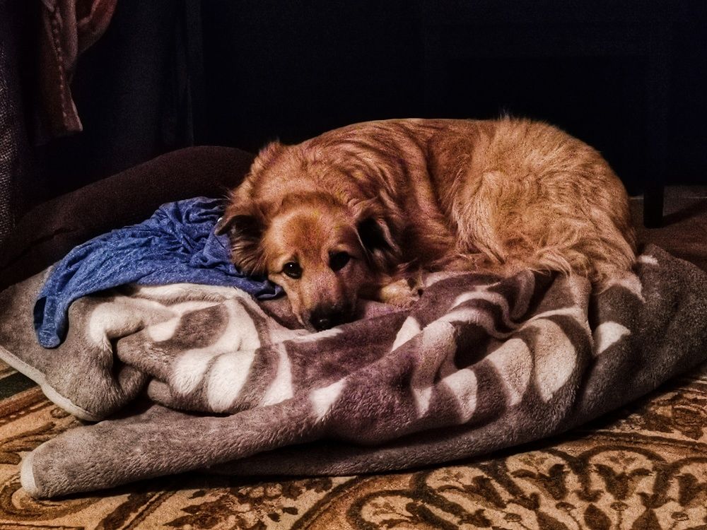 Photograph by Александр Козленков