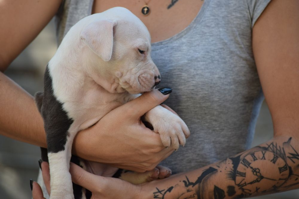 Photograph by Елени Володькова