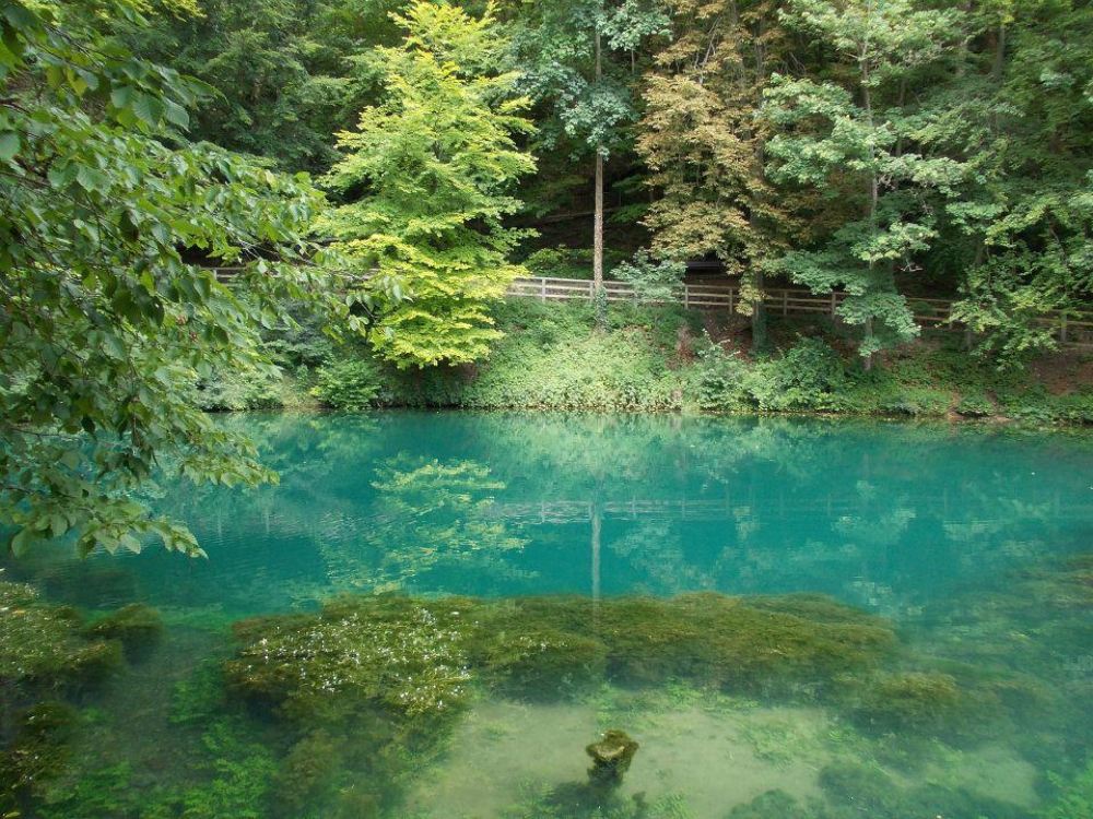 Photograph by Lidija Jevremovic