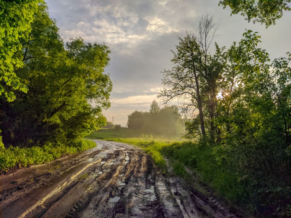 Photograph by Светлана Кондрашова